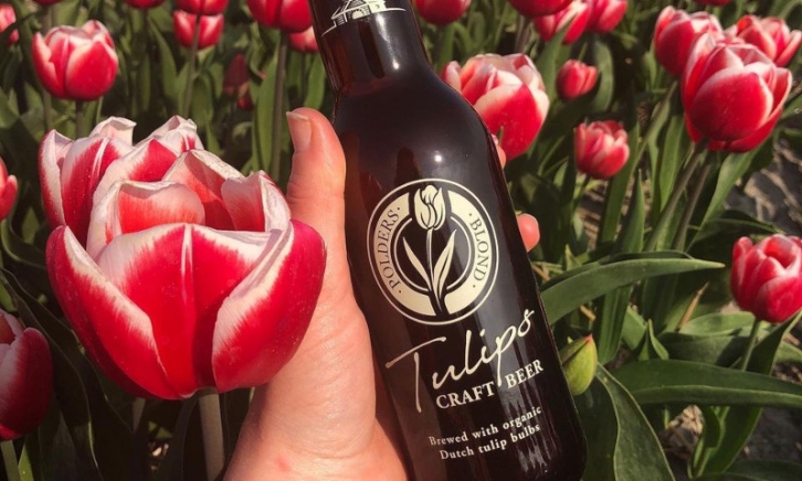 Naturalbeer in tulpenveld